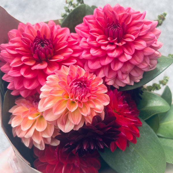 Dahlia Bouquet Subscription