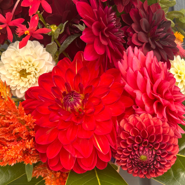 Dahlia Bouquet Subscription
