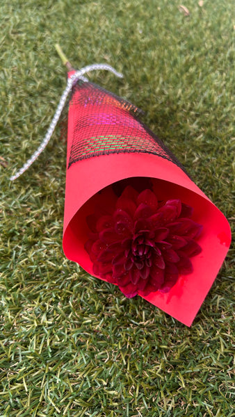 Arabian Night Dahlia (dark red/pink)