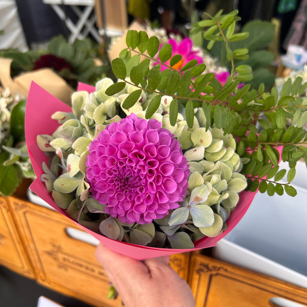Heather - Purple Ball Dahlia