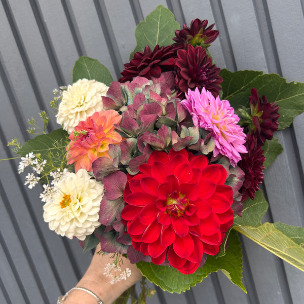 Dahlia Bouquet Subscription