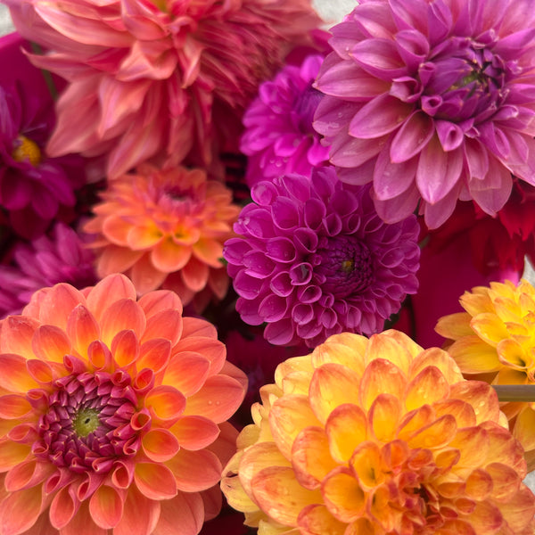 Flowers by the Bucket