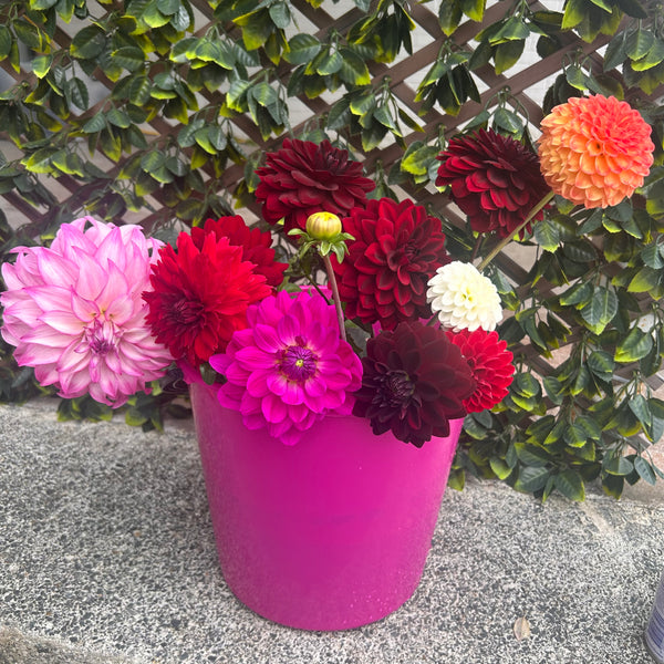 Flowers by the Bucket