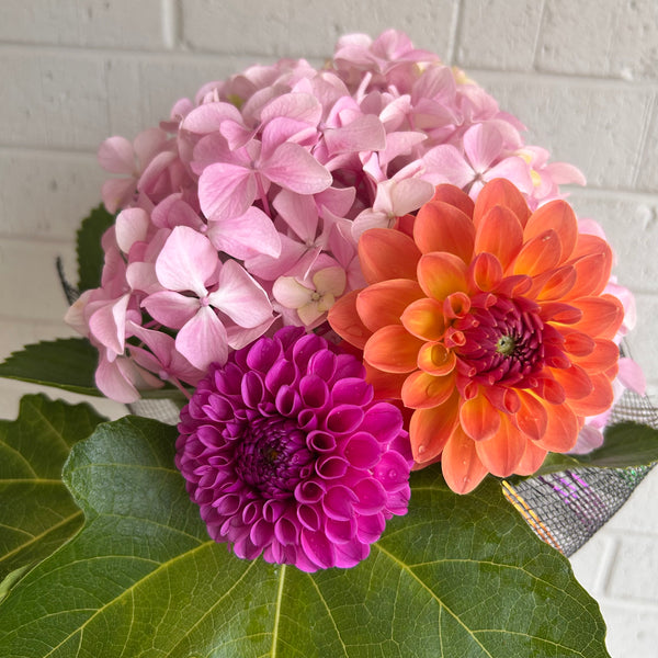 Heather - Purple Ball Dahlia