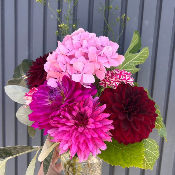 Art Nouveau - Hot Pink Dahlia