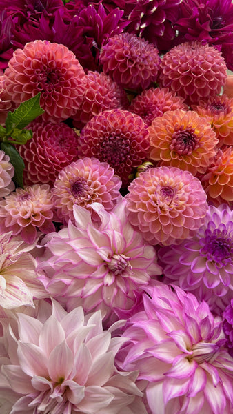 Bouquet Buffet Party at Belinda's Bloomers