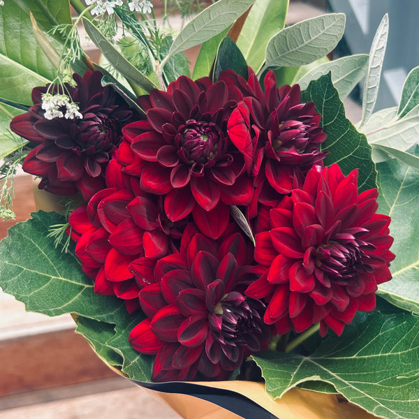 Dahlia Bouquet Subscription