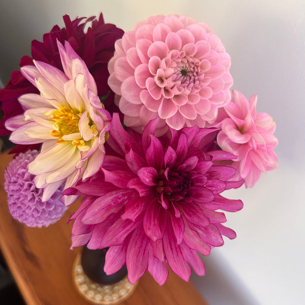 Dahlia Bouquet Subscription